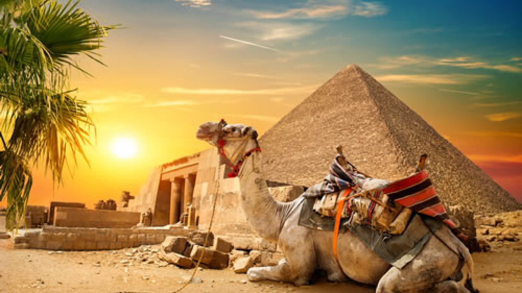 camelo-descansa-perto-de-ruinas