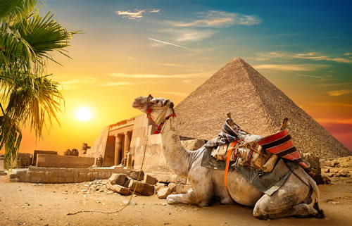 camelo-descansa-perto-de-ruinas